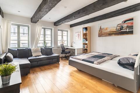 Wonderful apartment with a great downtown location