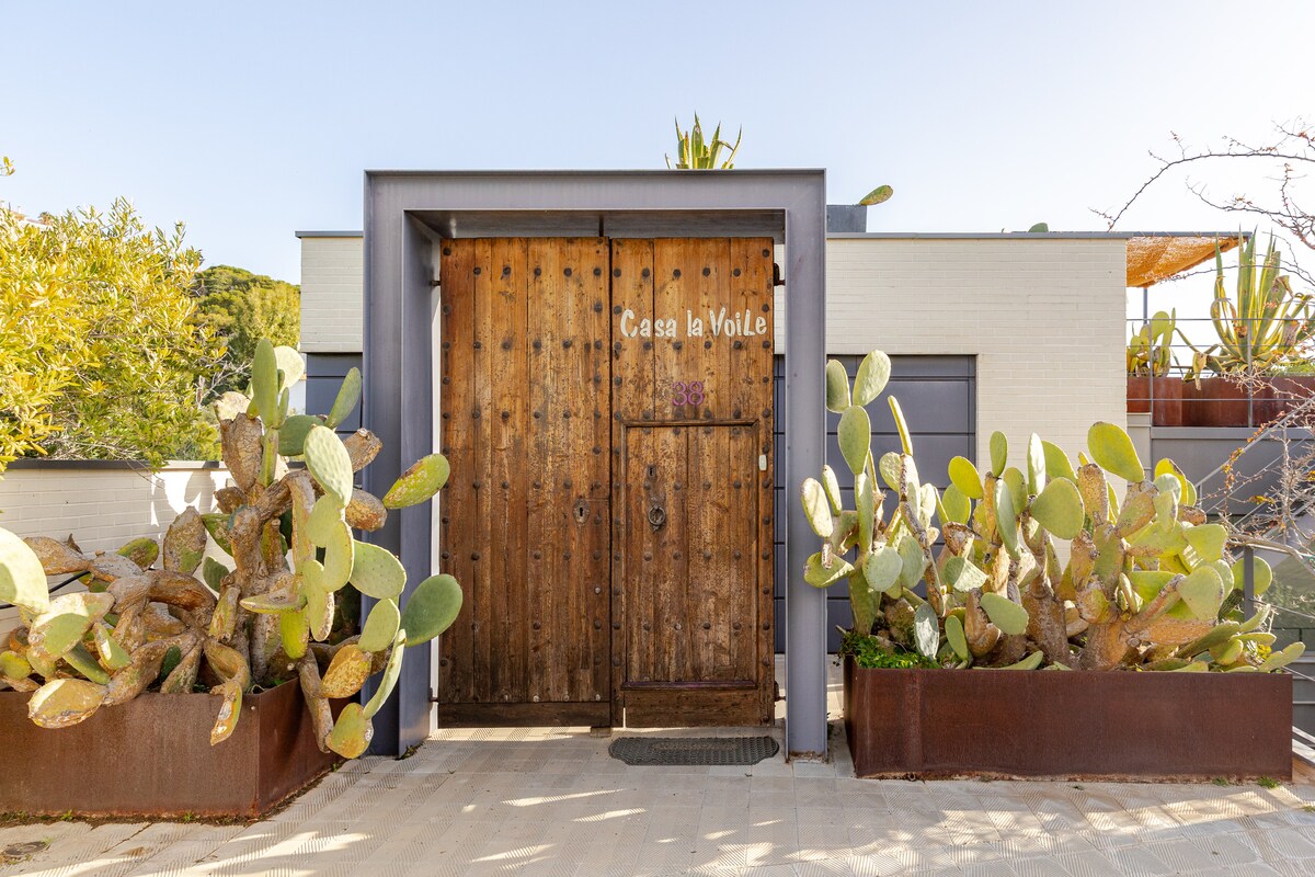 The entrance features a rustic wooden door with the name 'Casa la Voile' displayed above. Surrounding the entrance are large, vibrant cacti in modern metal planters, contributing to a natural, welcoming environment. Sunlight illuminates the entrance pathway, highlighting the textures of the door and plants.