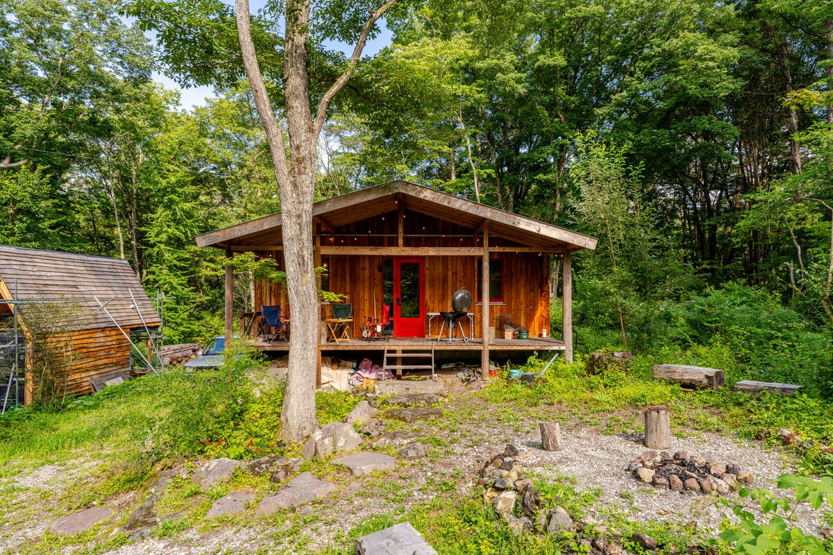 A cozy cabin surrounded by lush greenery features a covered porch with seating and a barbecue grill. The natural stone path leads to a fire pit area, providing a welcoming outdoor space for relaxation and gatherings.
