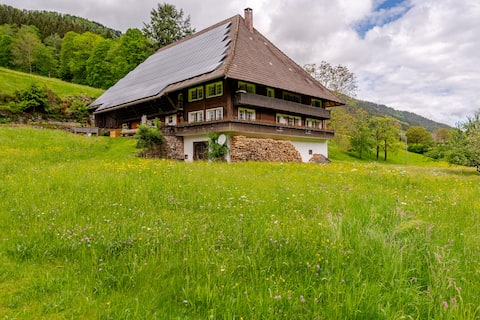 Cozy apartment in beautiful Black Forest farm