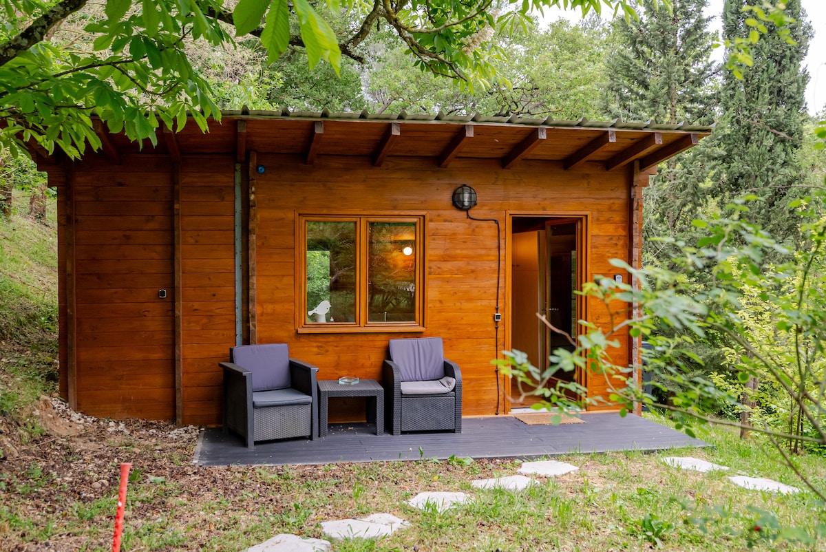 A charming wooden chalet is nestled among the trees, featuring a small terrace with two armchairs. A single window provides natural light, while a pathway leads to the entrance. Lush greenery surrounds the exterior, contributing to a peaceful setting.