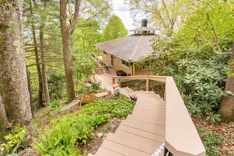 Cozy Cottage in the Clouds - Mountain View/BR Pkwy
