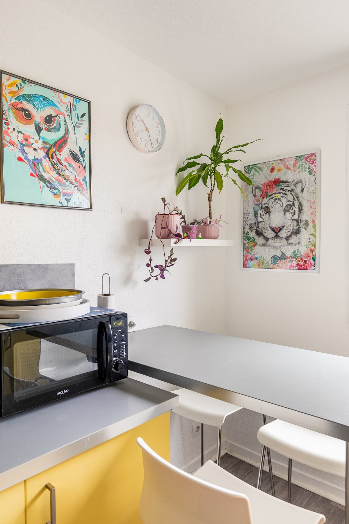 The kitchen features a sleek grey countertop paired with white stools. Colorful artwork adorns the walls, complemented by a potted plant on a shelf. A microwave is seen on the counter, adding functionality to the space.