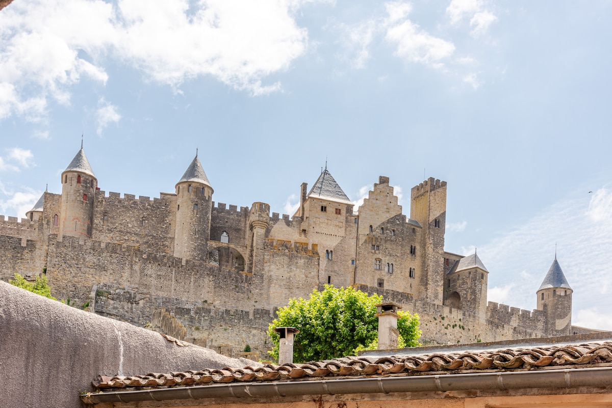The image displays the medieval fortress of Carcassonne, featuring tall stone walls and various turrets with conical roofs. A lush green tree adds a touch of nature in the foreground, while clouds partially fill the bright blue sky above.