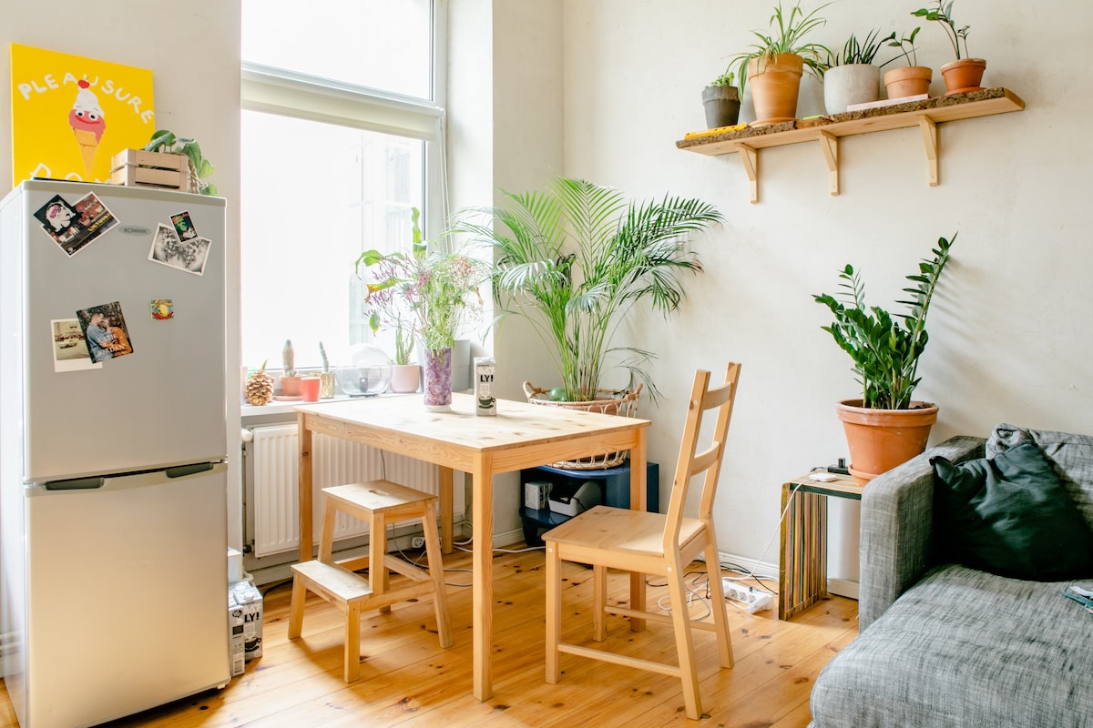 A bright dining area features a wooden table accompanied by two chairs. A refrigerator with magnetic decorations stands nearby. Various potted plants are arranged on a shelf and throughout the space, adding greenery to the room. Natural light filters through the large window.