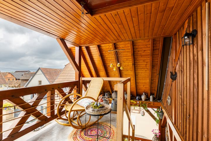 Charmant Appartement Climatisé Avec Terrasse - Benfeld