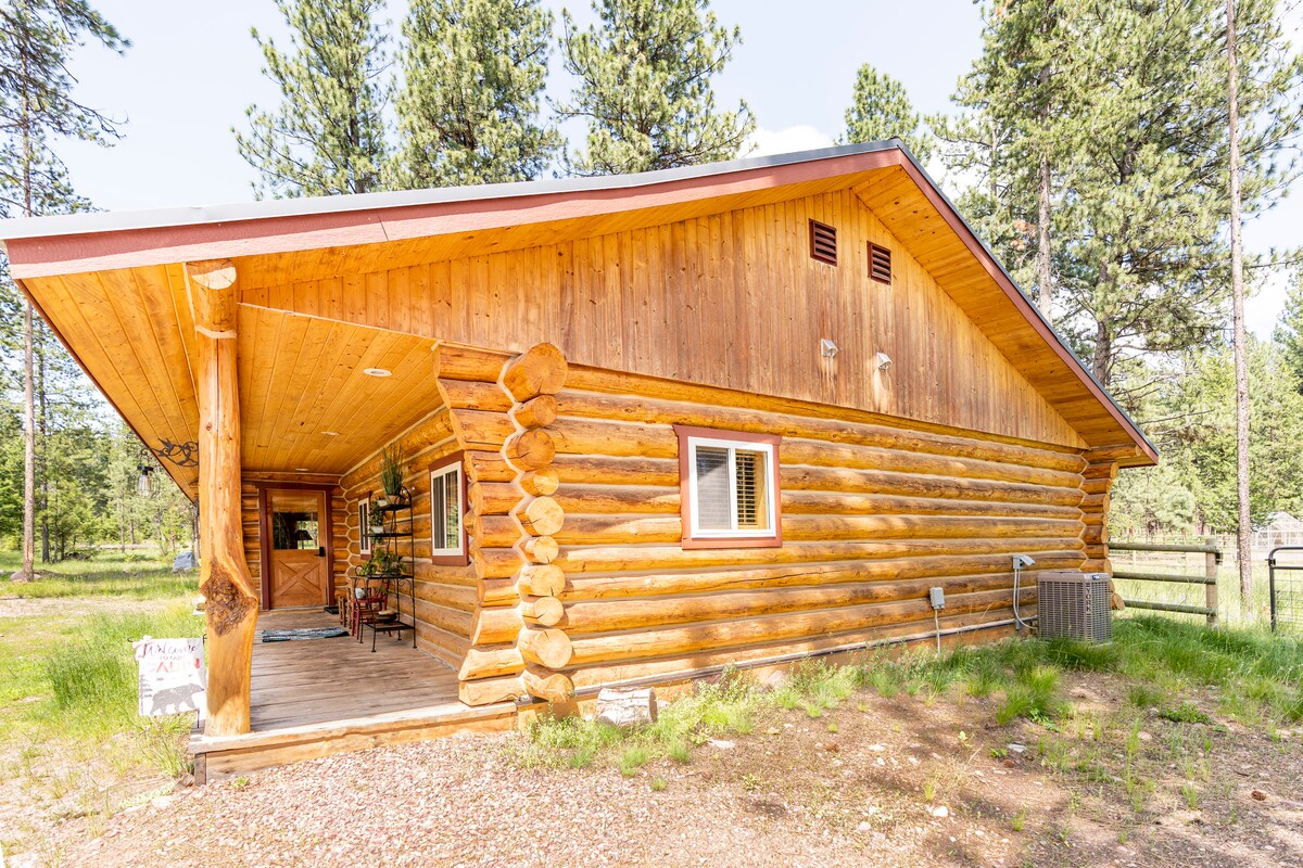 A rustic log cabin exterior is framed by tall pine trees, featuring a large porch with seating. The wooden facade exhibits natural logs and bright accents, while a welcoming entrance door adds charm. A grassy area surrounds the cabin, promoting a serene outdoor environment.