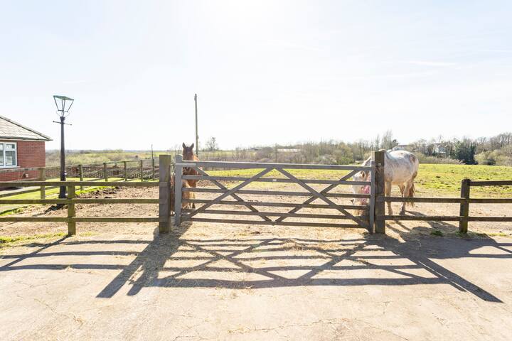 Beautiful big bright, spacious bungalow/ farm. gallery image 5