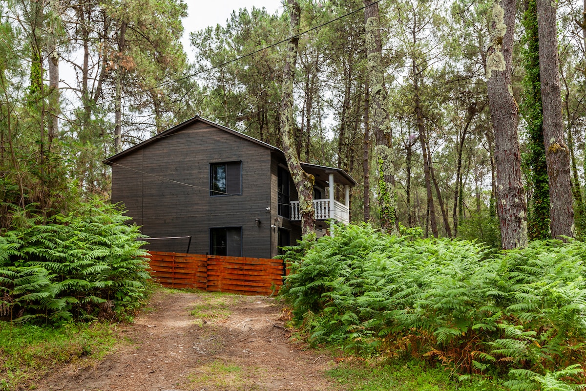 A two-story wooden house is nestled among tall pine trees, surrounded by vibrant green ferns. The entrance is marked by a rustic wooden fence, leading to the home that features balconies on the upper floor, inviting in natural light.