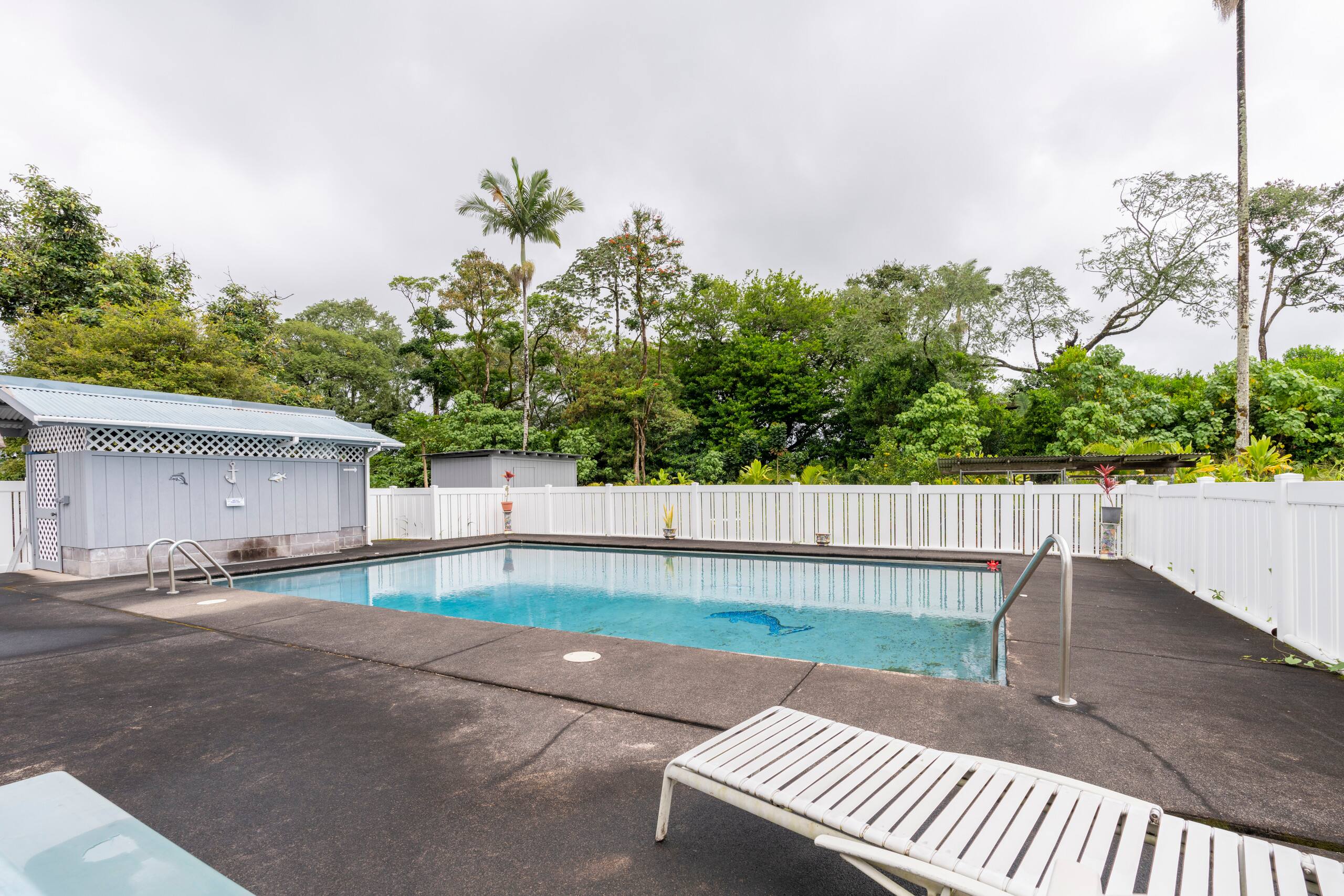 Home in Hilo · ★4.93 · 1 bedroom · 1 bed · 1 private bath - Image 27