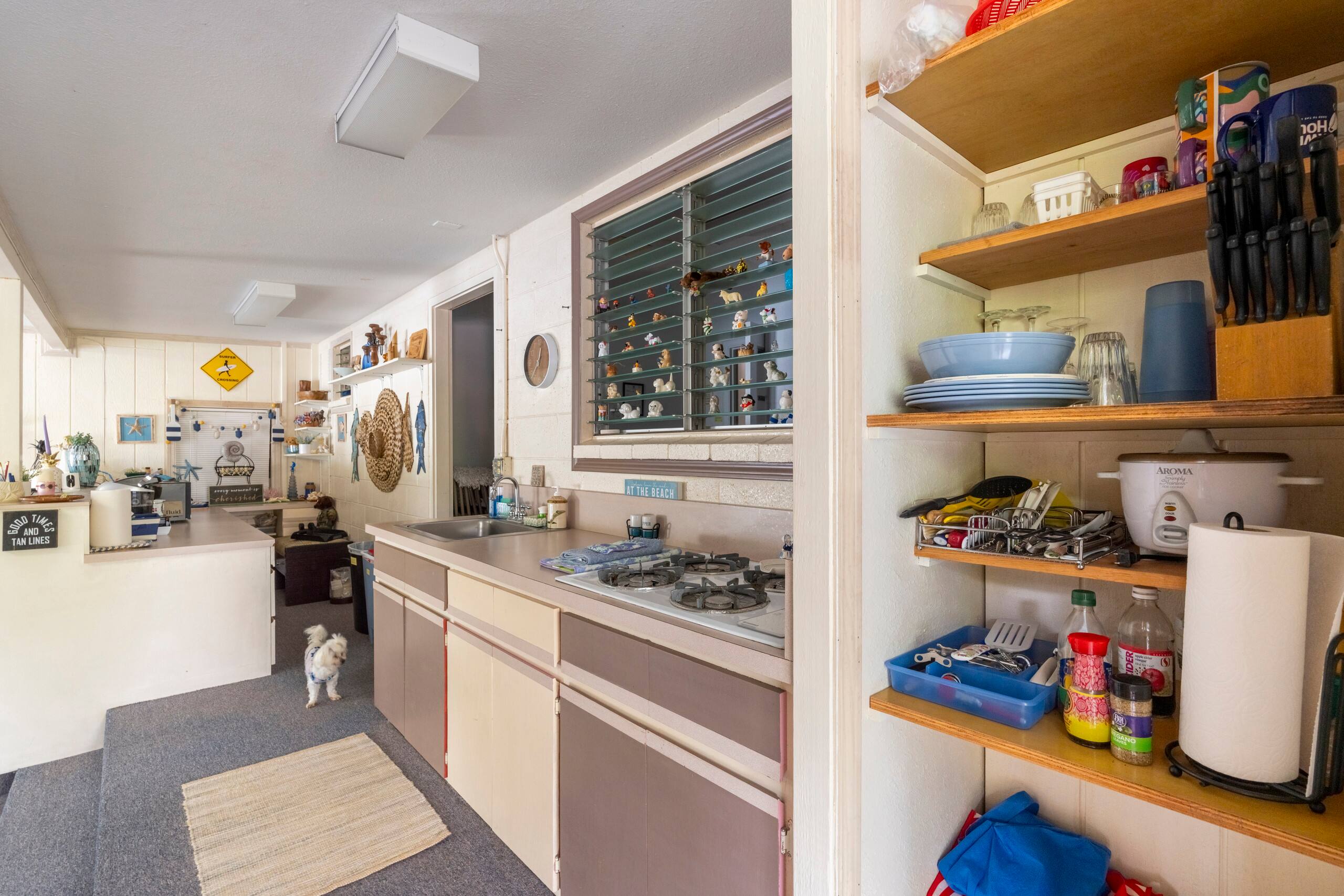 Home in Hilo · ★4.93 · 1 bedroom · 1 bed · 1 private bath - Image 7