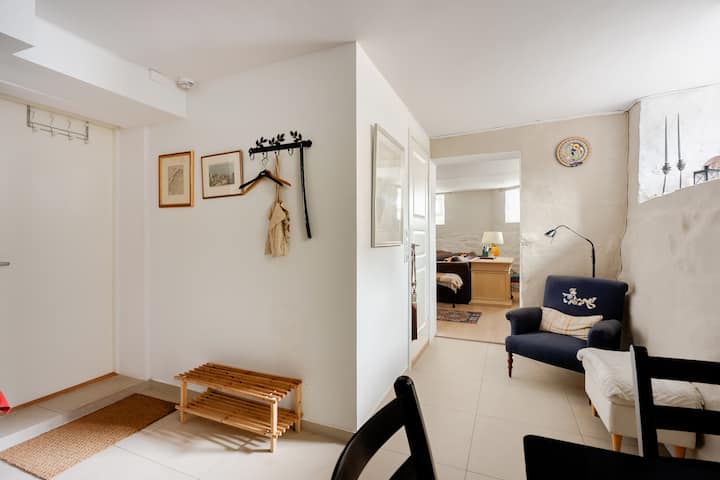 Cozy Refurbished Cellar At Briskeby - Oslo