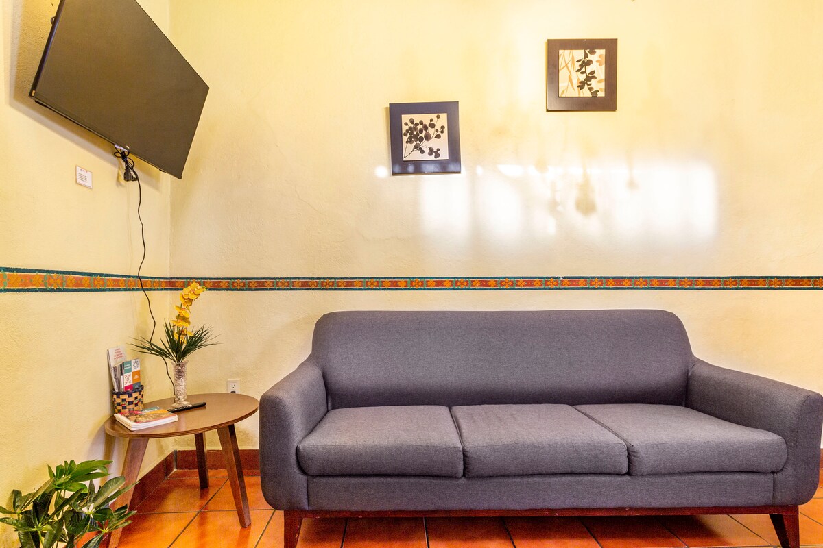 Successful Airbnb property: “EL PATIO ROJO” Colonial house in historic downtown. in Barrio De La Cruz