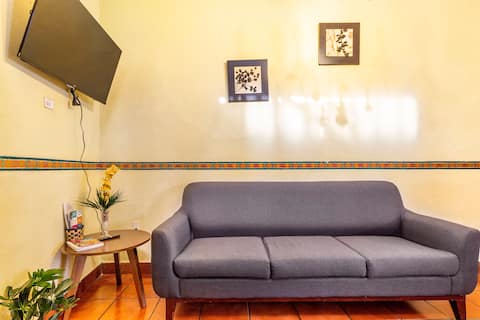 Successful Airbnb property: “EL PATIO ROJO” Colonial house in historic downtown. in Barrio De La Cruz