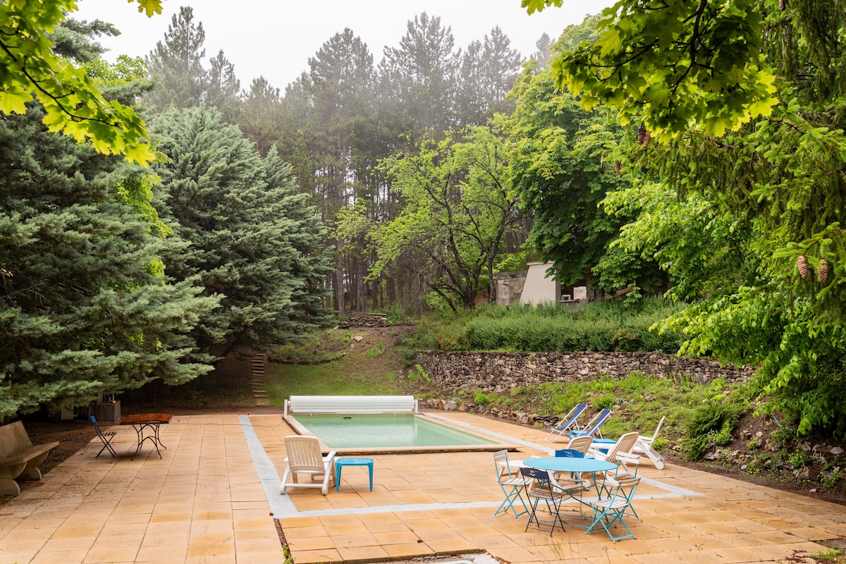 A private outdoor space features a heated swimming pool surrounded by a stone patio. Various seating options, including white lounge chairs and a blue outdoor dining set, are positioned nearby. Lush greenery and tall trees create a serene backdrop for relaxation.