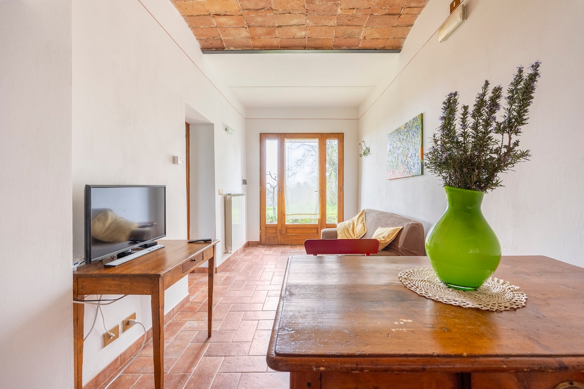 Airbnb con migliori performance: Stabbiano-Two-room apartment with a splendid view a Montepulciano