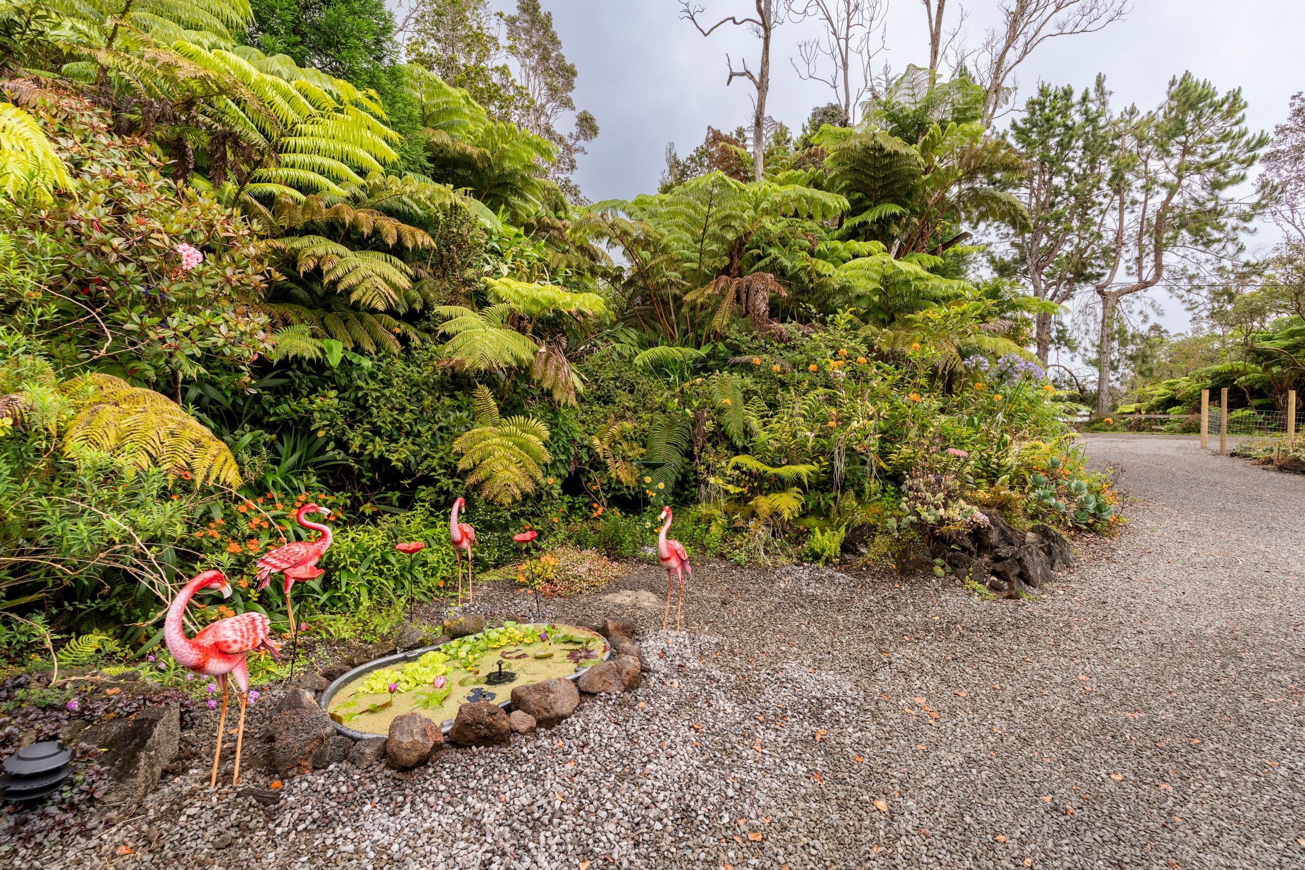 Guesthouse in Volcano · ★5.0 · Studio · 1 bed · 1 bath - Image 25
