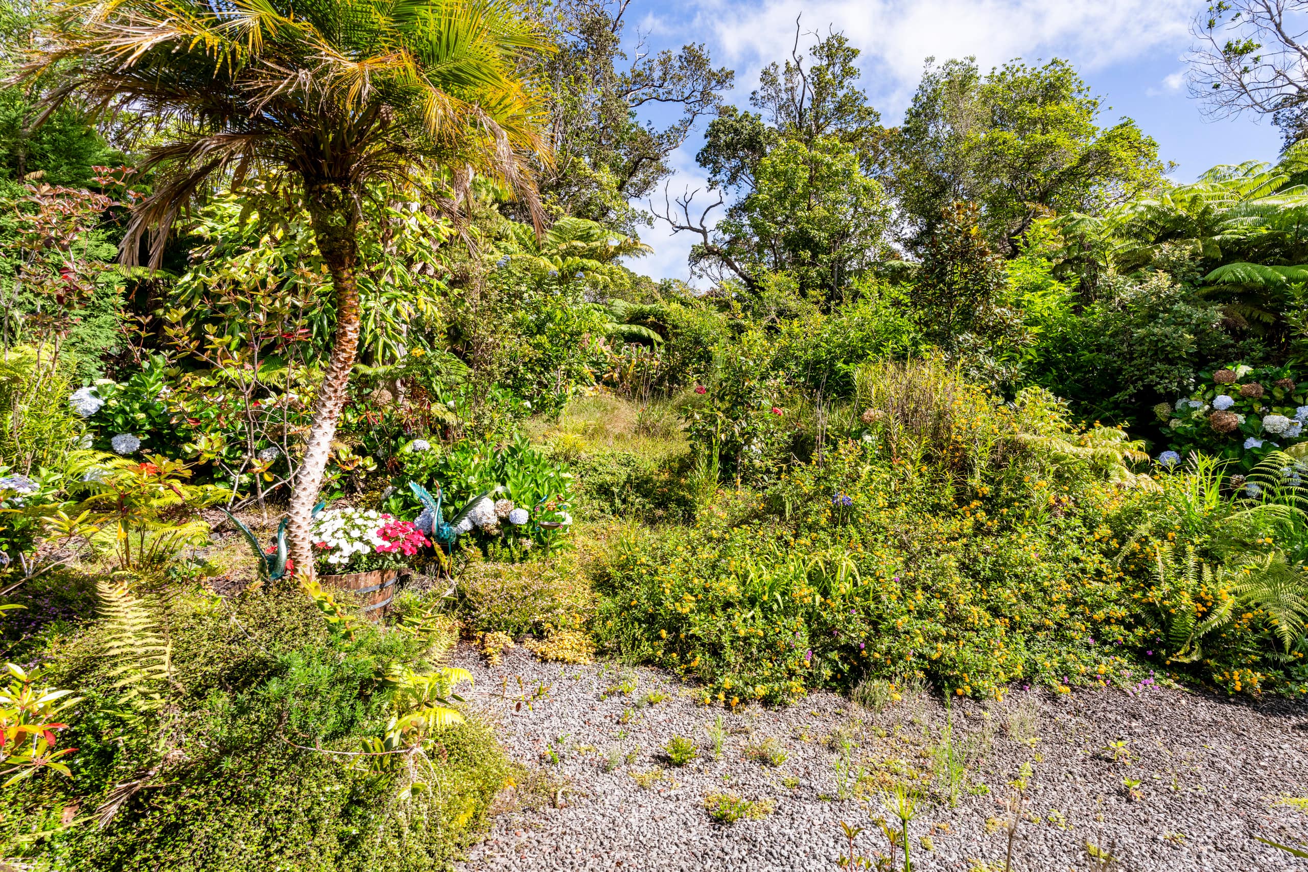 Guesthouse in Volcano · ★5.0 · Studio · 1 bed · 1 bath - Image 26