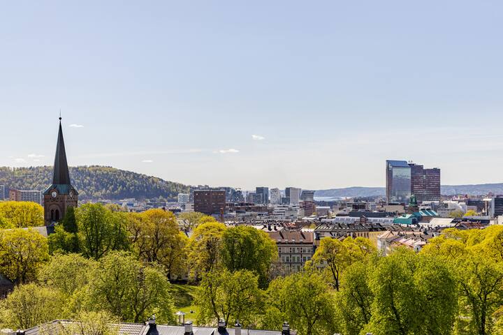 Fabrikkleilighet sentralt, balkong og takterrasse gallery image 3