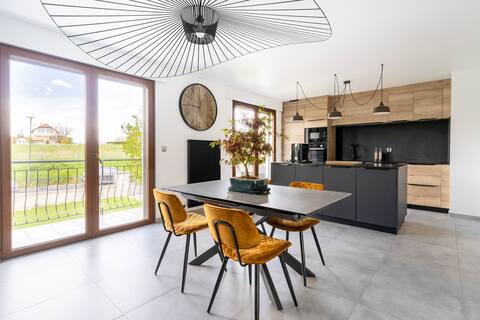 Luxurious apartment a stone's throw from Geneva