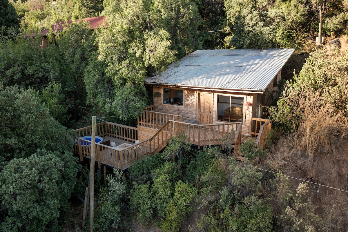 A cabin surrounded by dense greenery is visible from above, showcasing a wooden deck that extends around the structure. The roof is metal, and large windows offer a view of the surrounding natural landscape.
