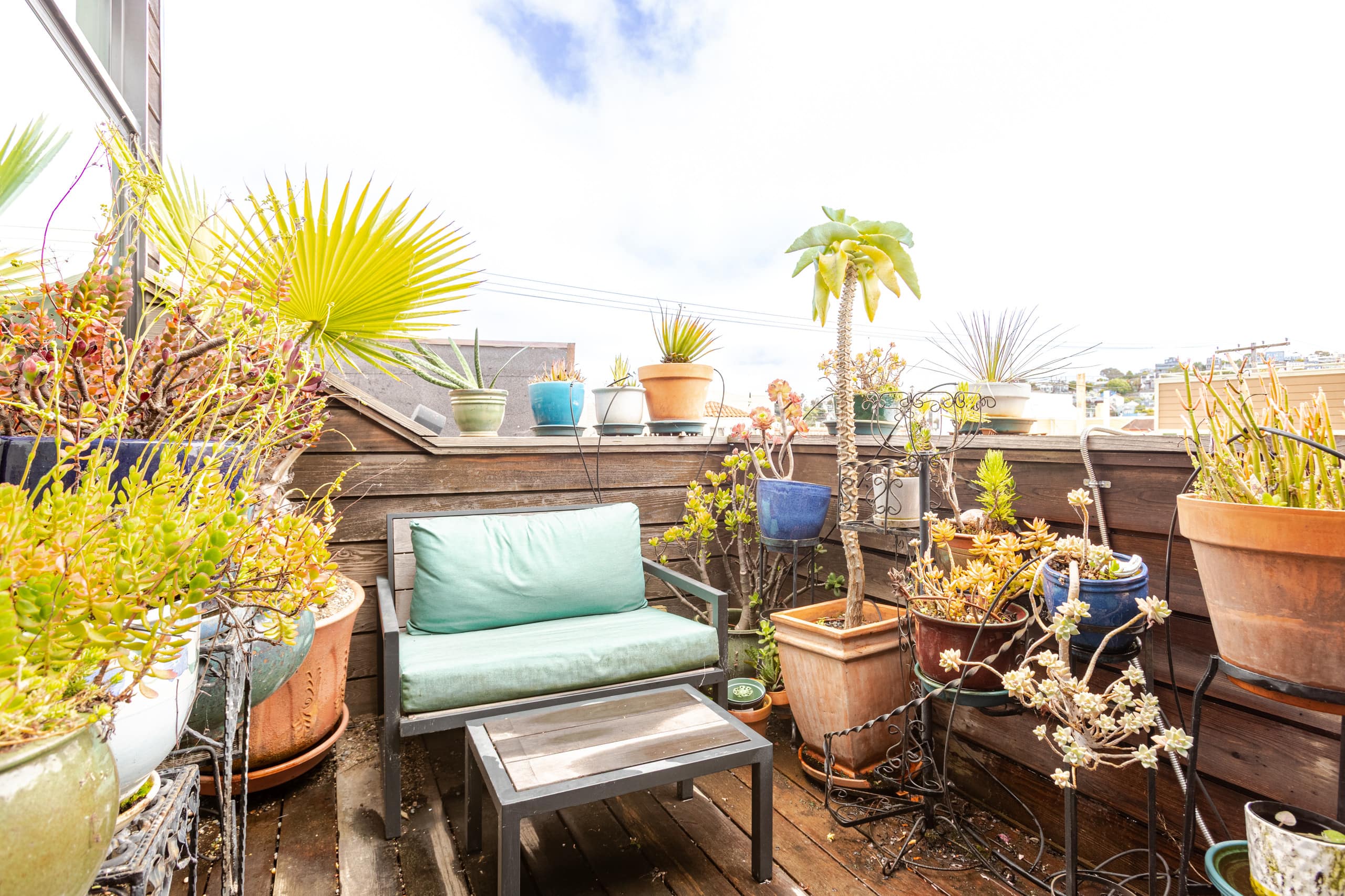 Home in San Francisco · ★4.94 · 3 bedrooms · 4 beds · 2 baths - Image 51