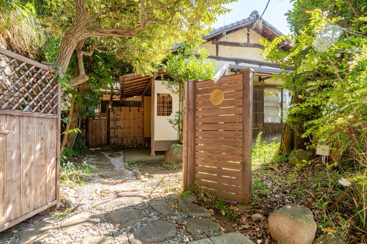 八房五葉松　桃山 八房五葉松 桃山 八房五葉松 桃山