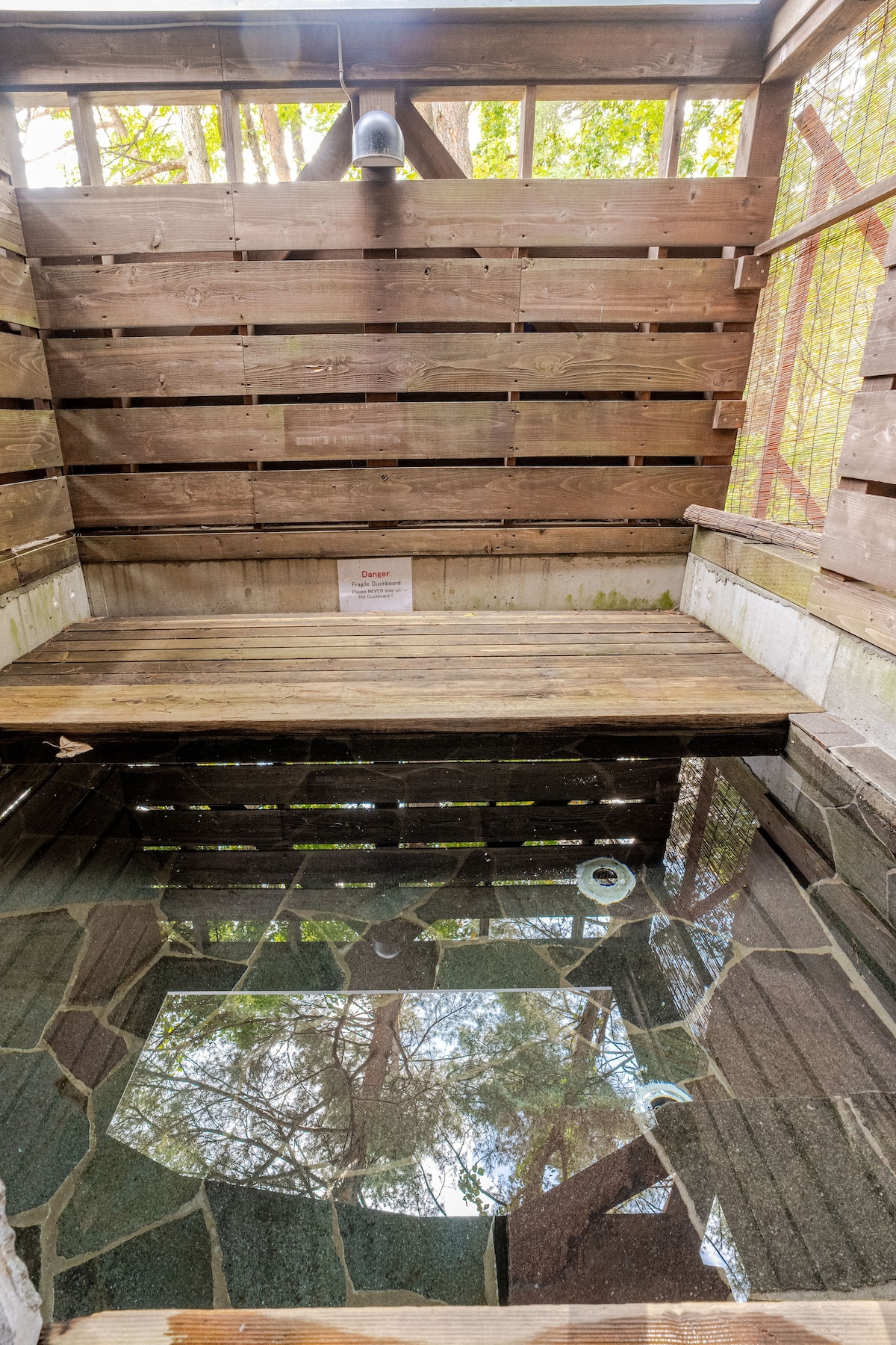 An outdoor hot spring is enclosed by wooden walls, offering a natural and private setting. The stone flooring and wooden platform create a rustic ambiance. Reflections of surrounding greenery and overhead light enhance the peaceful atmosphere, inviting relaxation in nature.