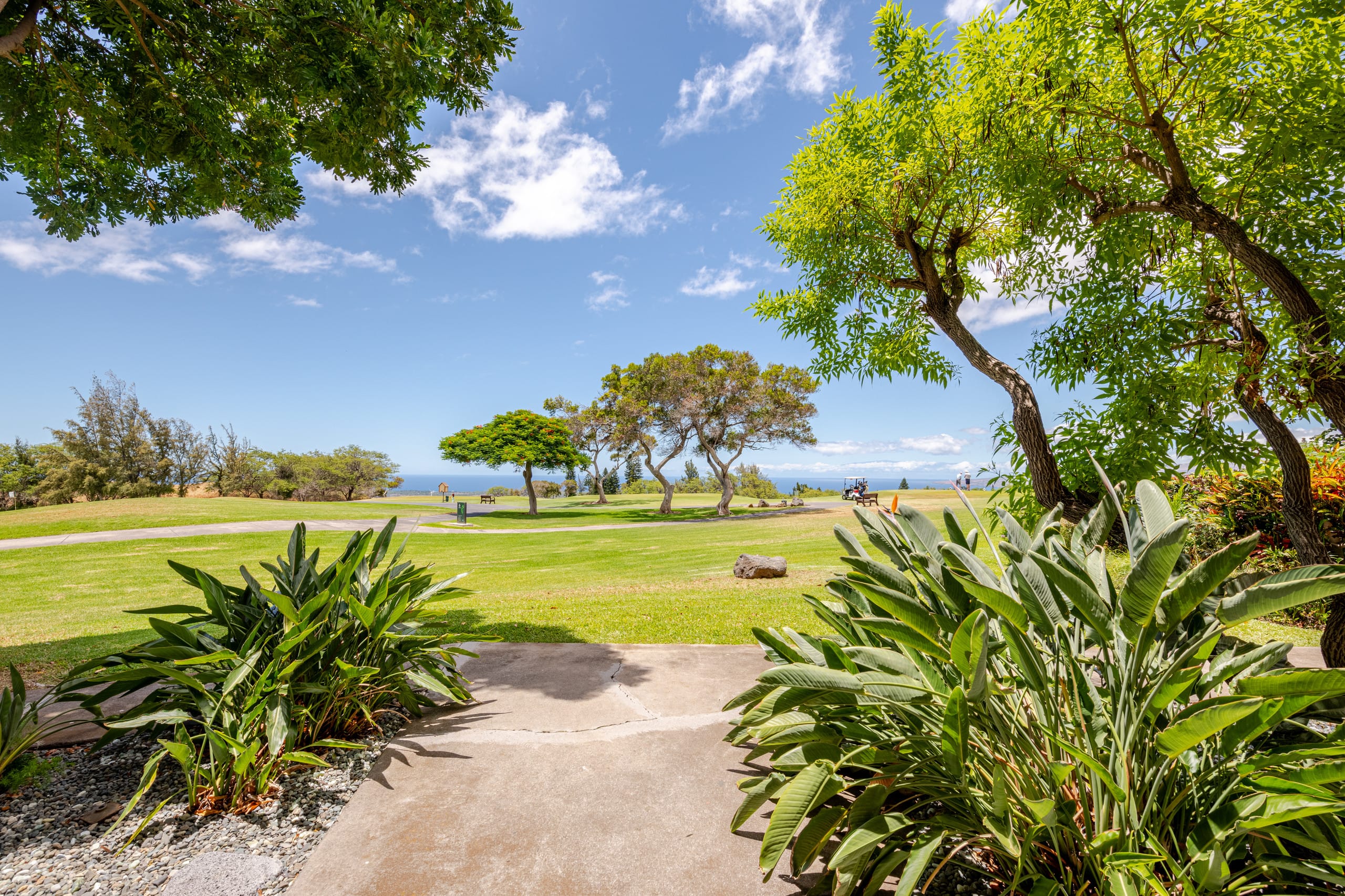 Honua Studio Ocean Views on the Golf Course - Photo 39