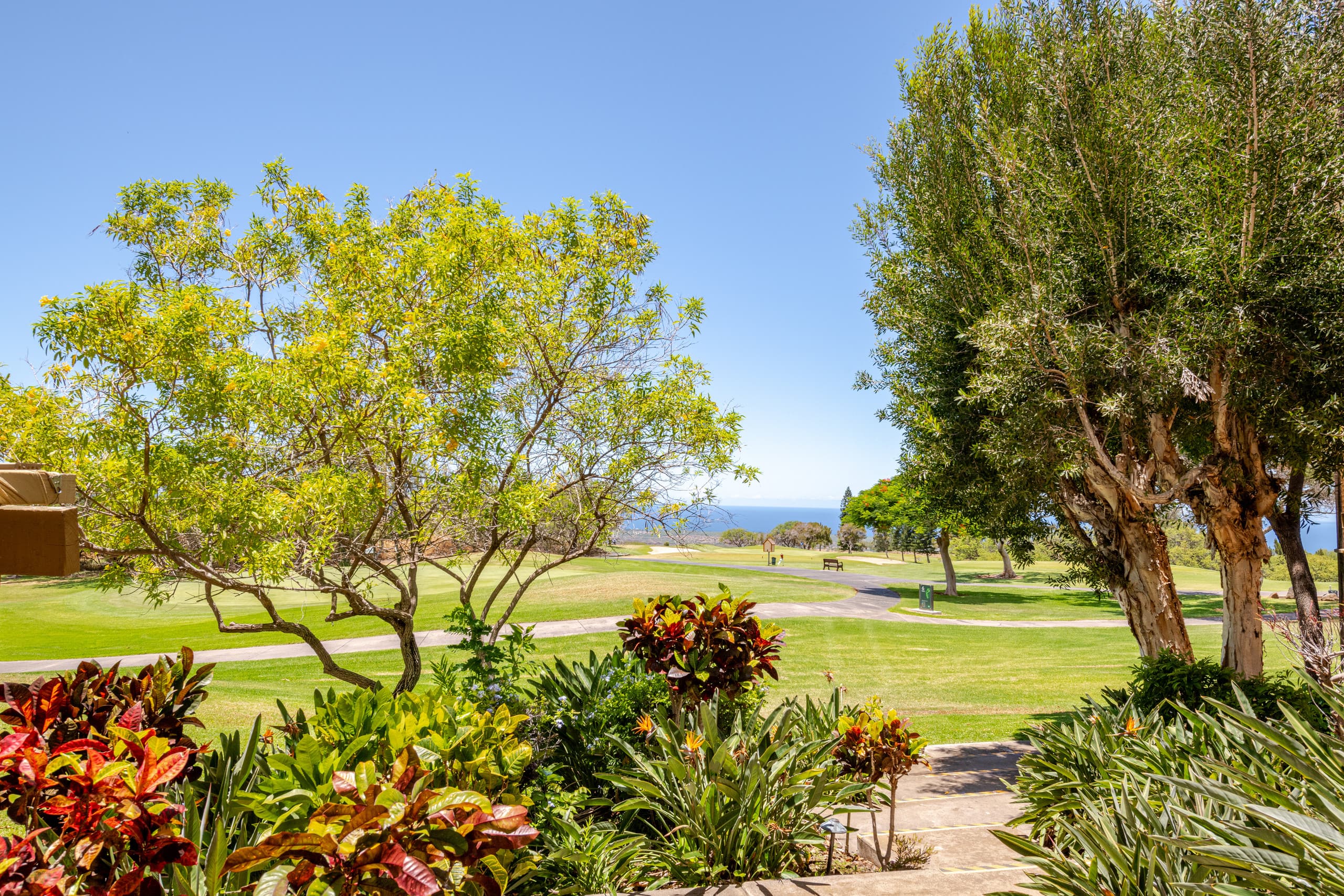 Honua Studio Ocean Views on the Golf Course - Photo 38