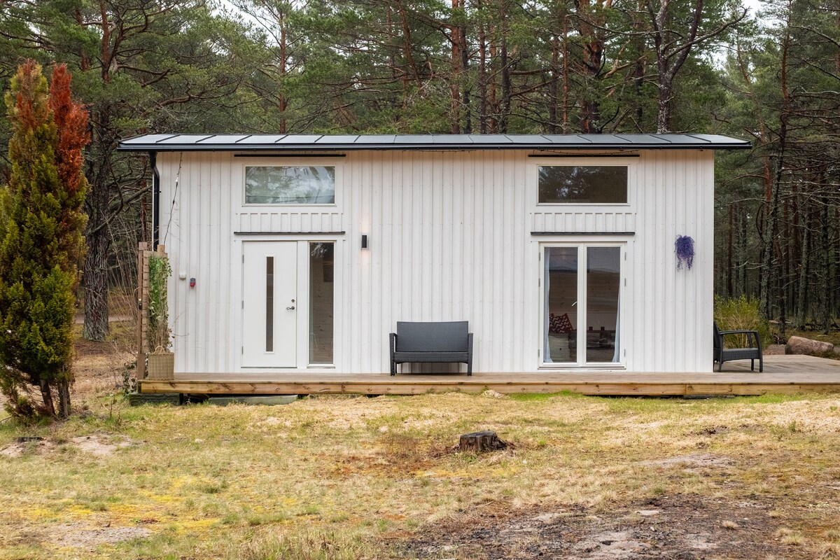 The exterior of the cabin is depicted, showcasing a modern design with a white metal facade. Large windows illuminate the interior, while a porch with a bench extends from the front. The surrounding area features grass and trees, creating a natural setting.