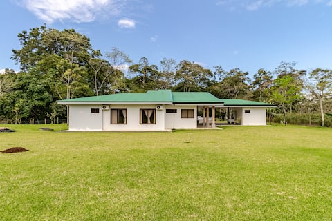 Modern villa surrounded by nature