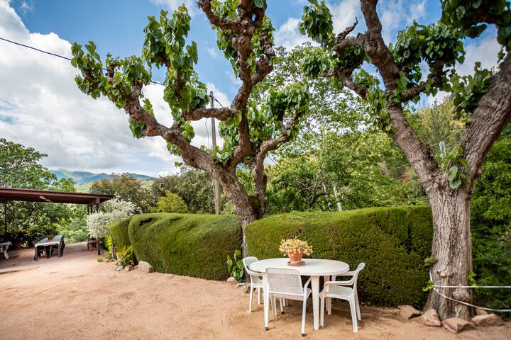 Rural getaway in autumn, chestnuts with the family gallery image 2