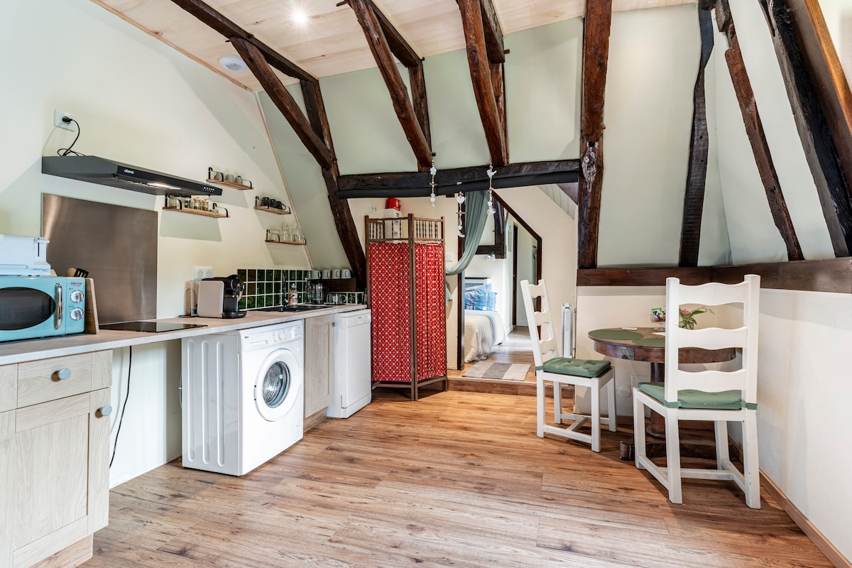 A cozy studio kitchen area features wooden beams and natural light. A washing machine is positioned beside a compact sink and microwave. A small dining table with two chairs is seen to one side, enhancing the functional layout of the space.