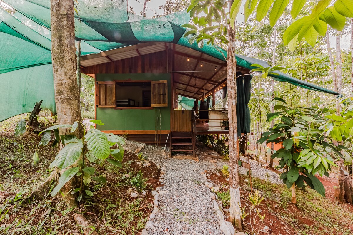 A wooden cabin is partially covered with a green shade cloth, surrounded by lush vegetation. A gravel path leads to the entrance, framed by tropical plants. Open shutters reveal an inviting interior with a rustic charm, showcasing a connection to the surrounding natural environment.