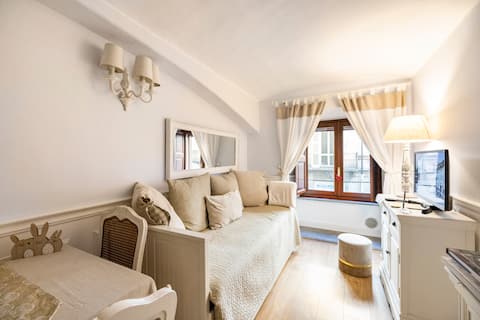 Proprietà Airbnb di successo: Charm in the heart of Turin a Torino