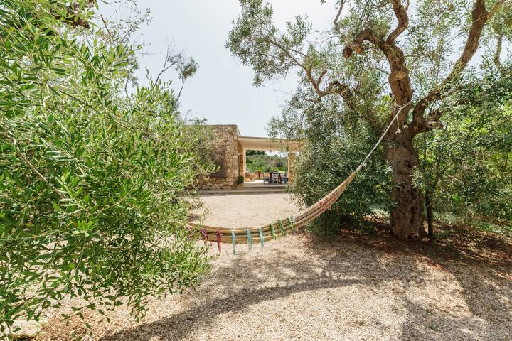 A paradise among olive trees gallery image 3