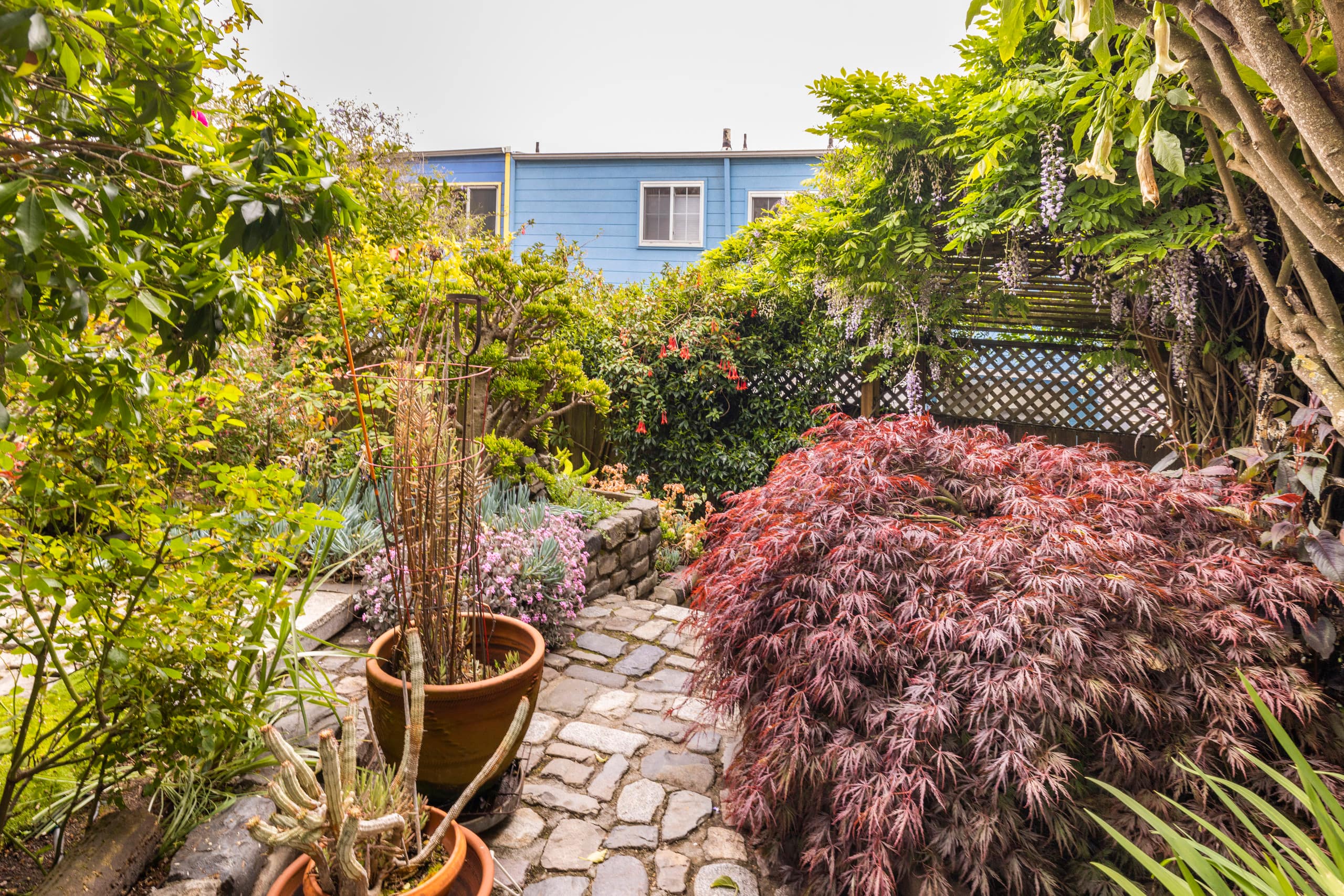 Hilltop studio w/t panoramic view, garden, parking - Image 16