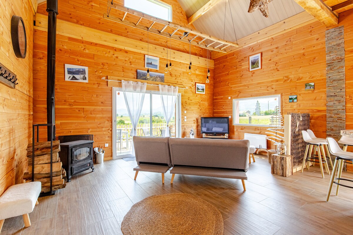 A spacious interior features wooden walls and large windows, allowing natural light to fill the area. A comfortable seating arrangement is centered around a modern fireplace, with a view of the outdoors visible through the glass doors. Decor includes framed photographs and a natural rug.