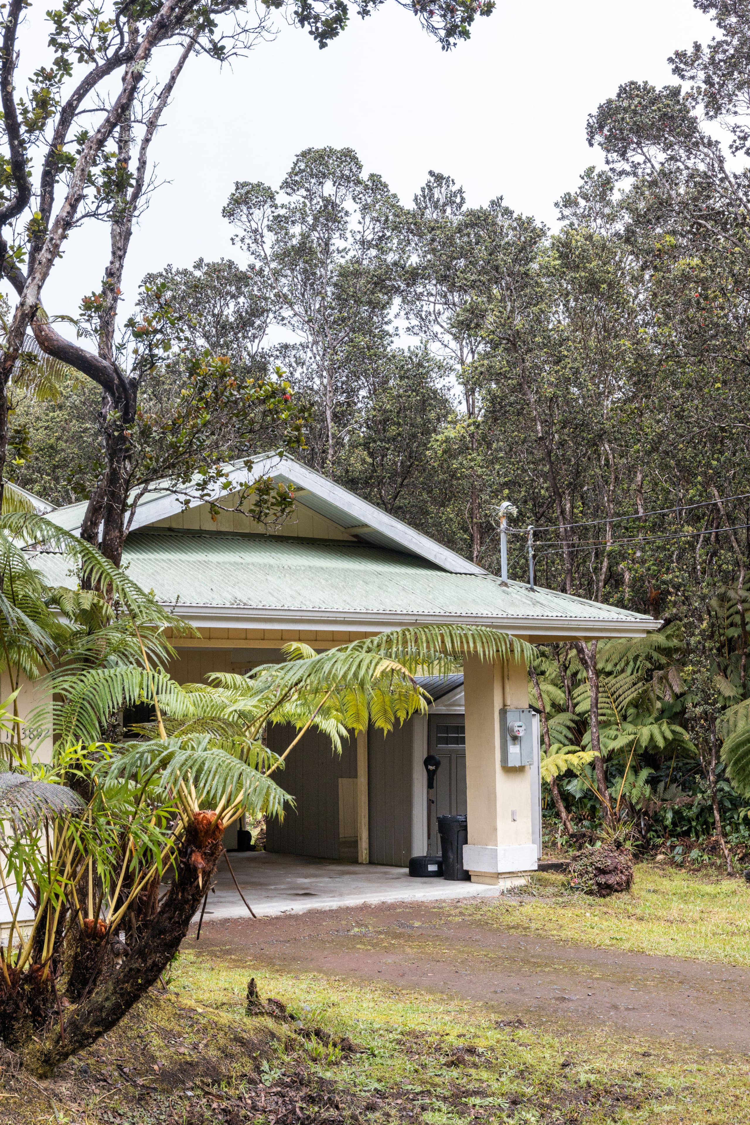 Home in Volcano · ★4.8 · 3 bedrooms · 3 beds · 2 private baths - Image 29