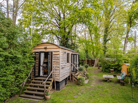 Tinkerbell Retreat