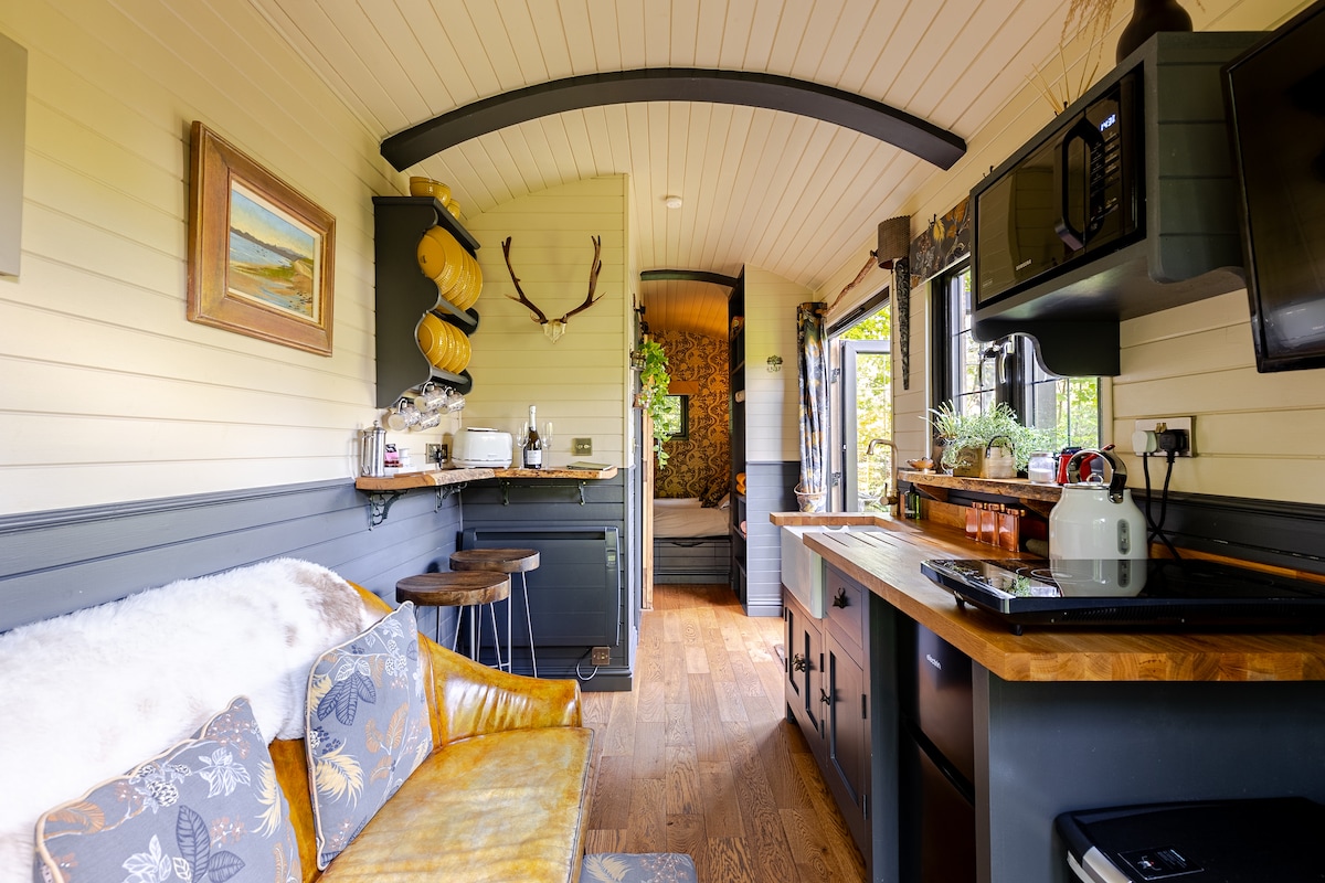 An inviting interior space showcases a cozy seating area with a mustard-yellow couch adorned with floral patterns. Natural light enters through large windows, complemented by stylish dark cabinetry and wooden countertops in the kitchenette. Decorative accents, including wall art and plants, add character to the space.