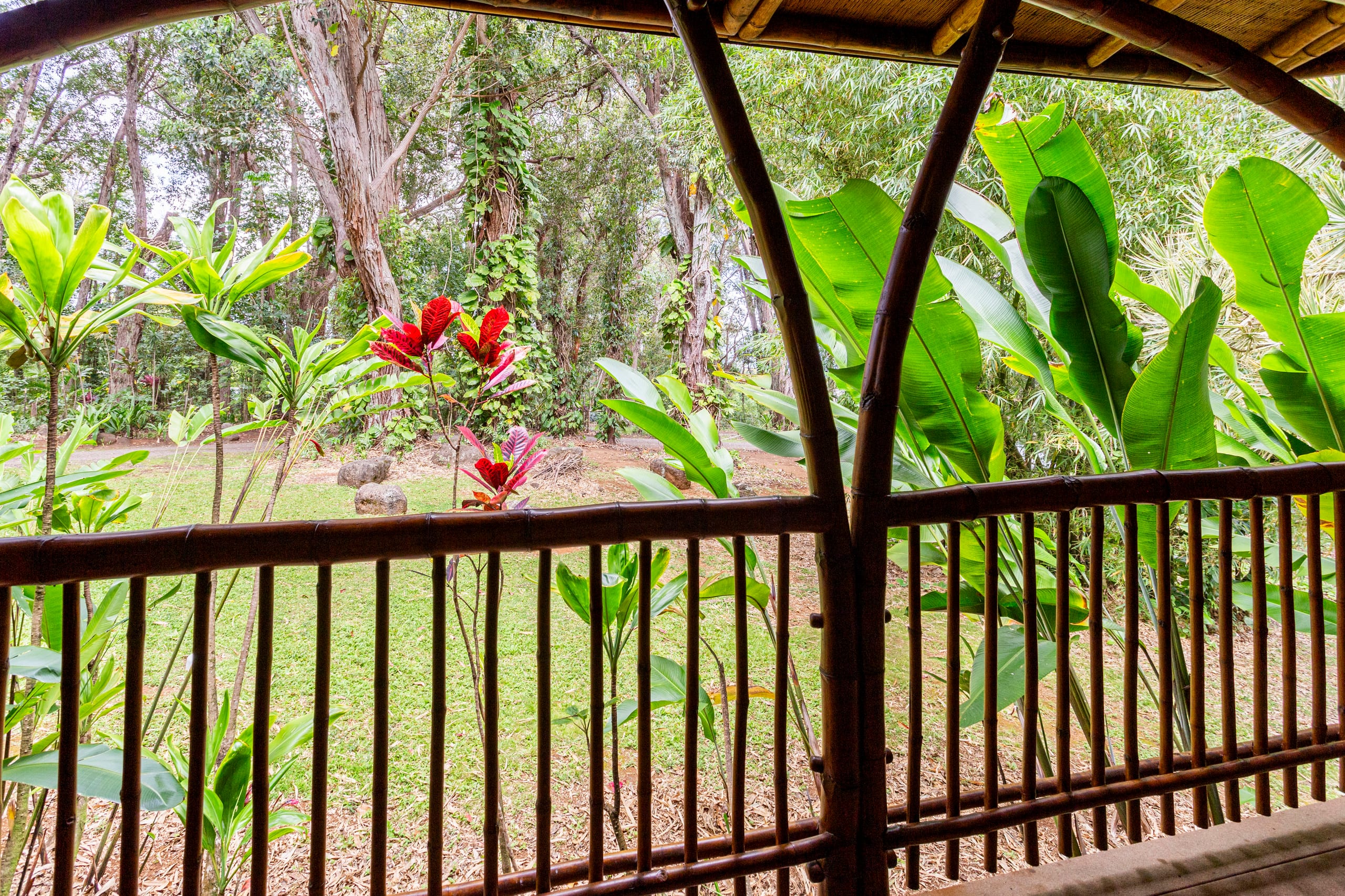 Hawaiian DreamTemple- Tropical Oasis BBPH20120004 - Image 51
