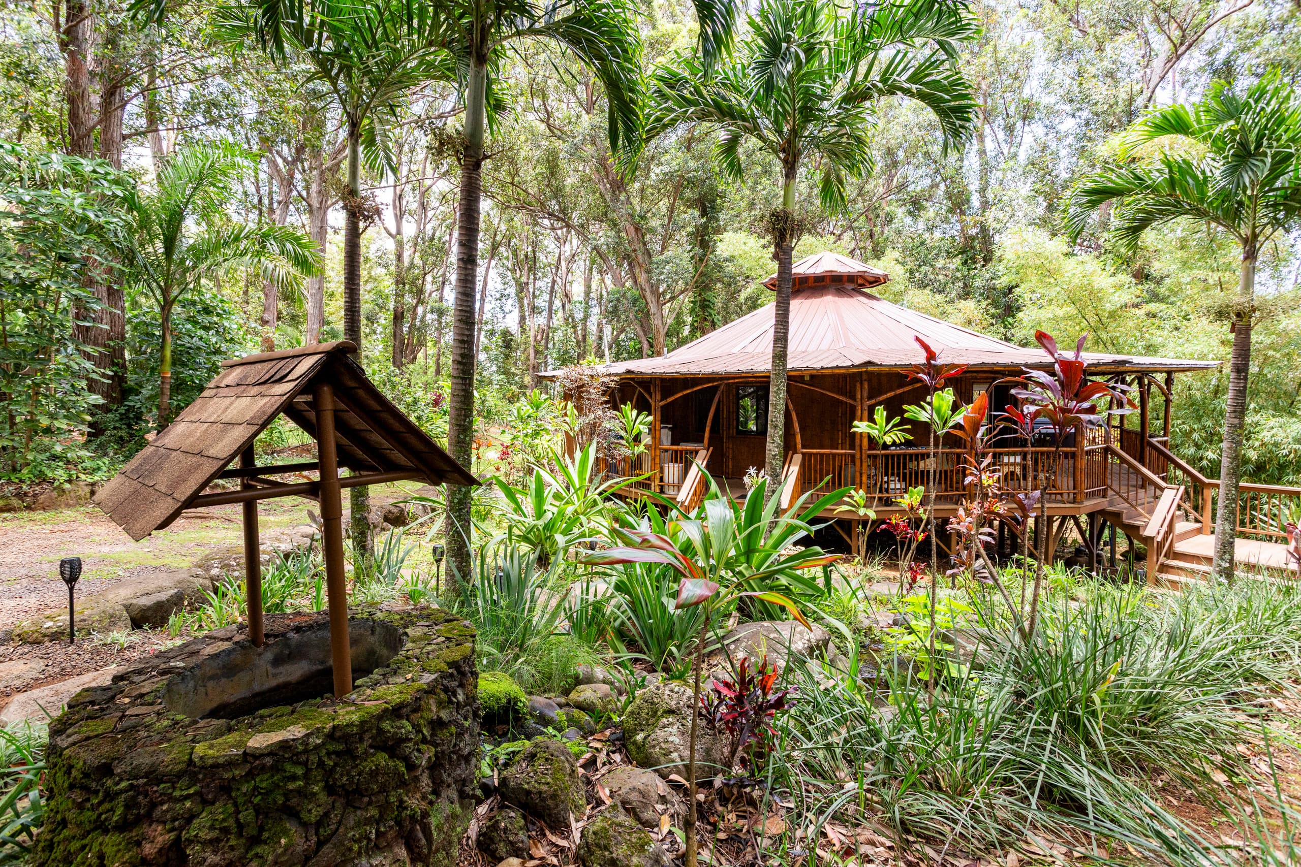 Hawaiian DreamTemple- Tropical Oasis BBPH20120004 - Image 42