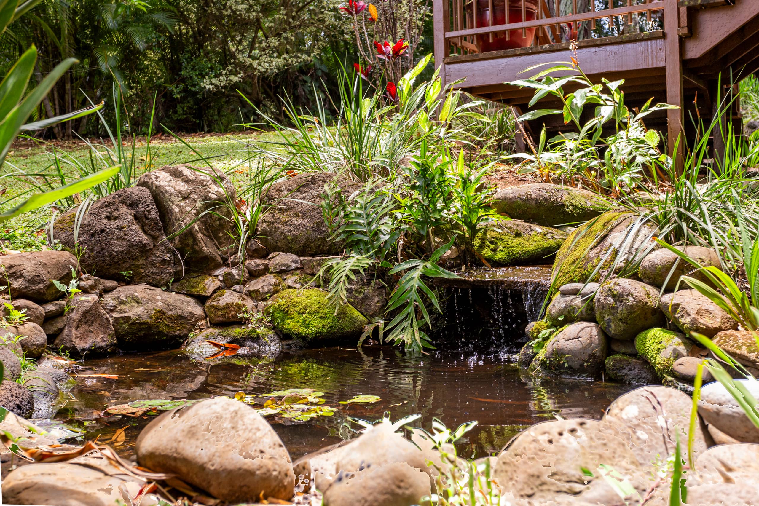 Hawaiian DreamTemple- Tropical Oasis BBPH20120004 - Image 25