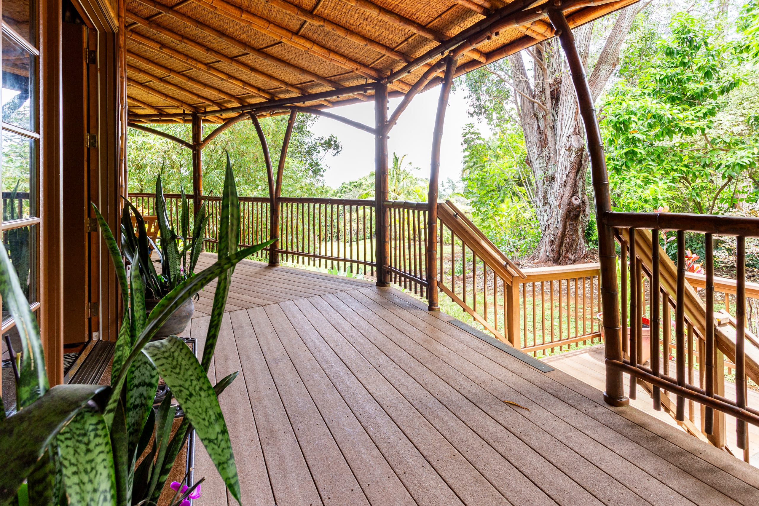 Hawaiian DreamTemple- Tropical Oasis BBPH20120004 - Image 50