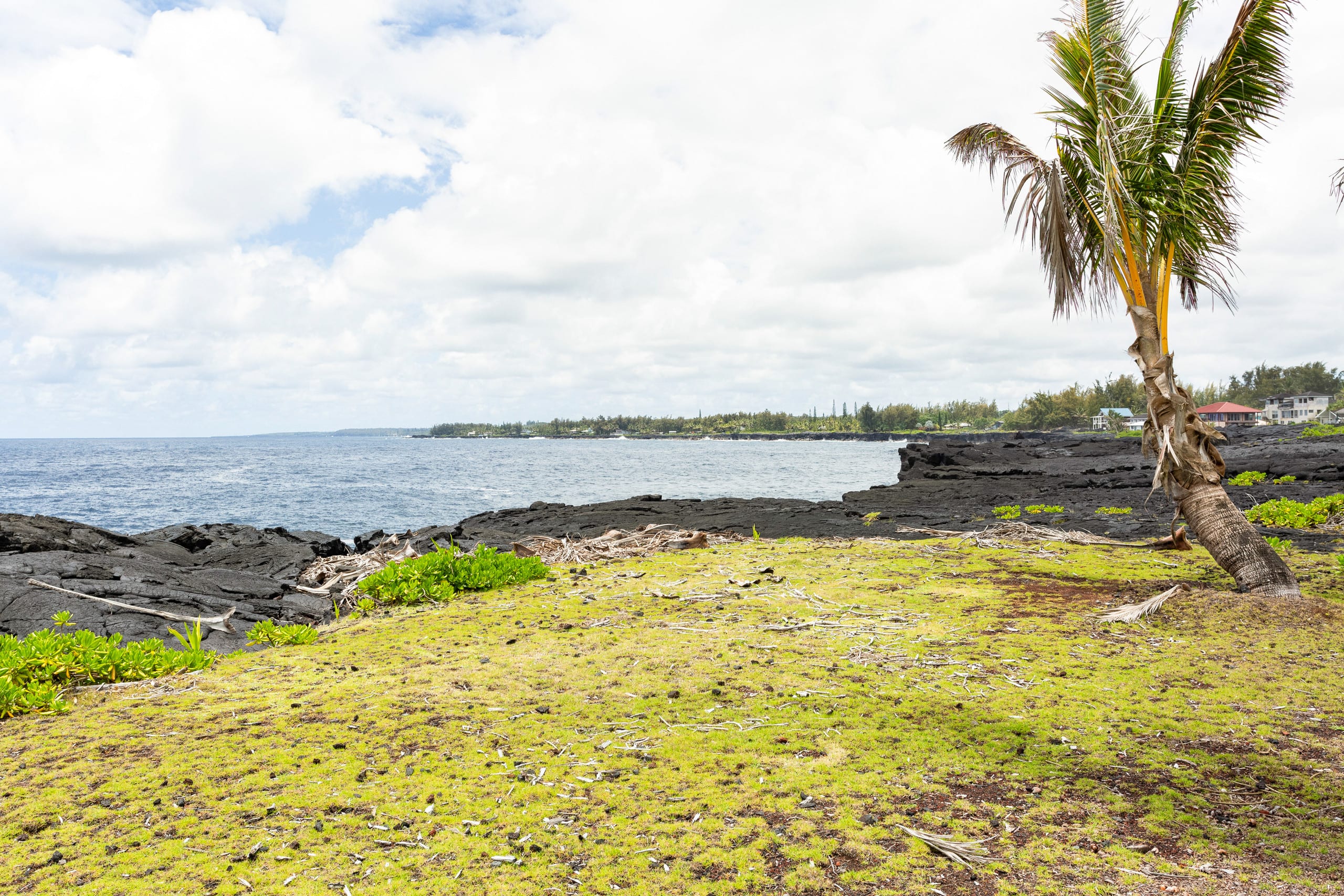 Home in Keaau · ★4.83 · 4 bedrooms · 5 beds · 4 private baths - Image 41