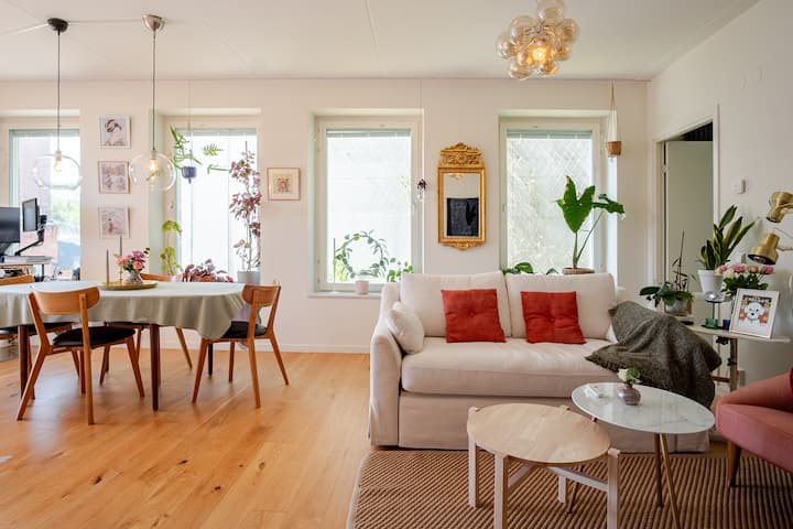 غرفة المعيشة