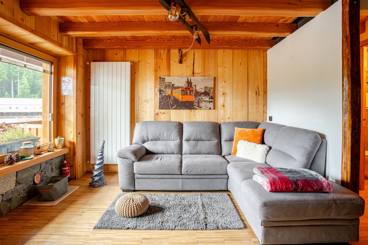 A cozy living area features a spacious gray sectional sofa complemented by a colorful accent pillow. Wooden beams and paneling create a warm ambiance, while large windows allow natural light to fill the space. A textured rug and decorative elements add an inviting touch.