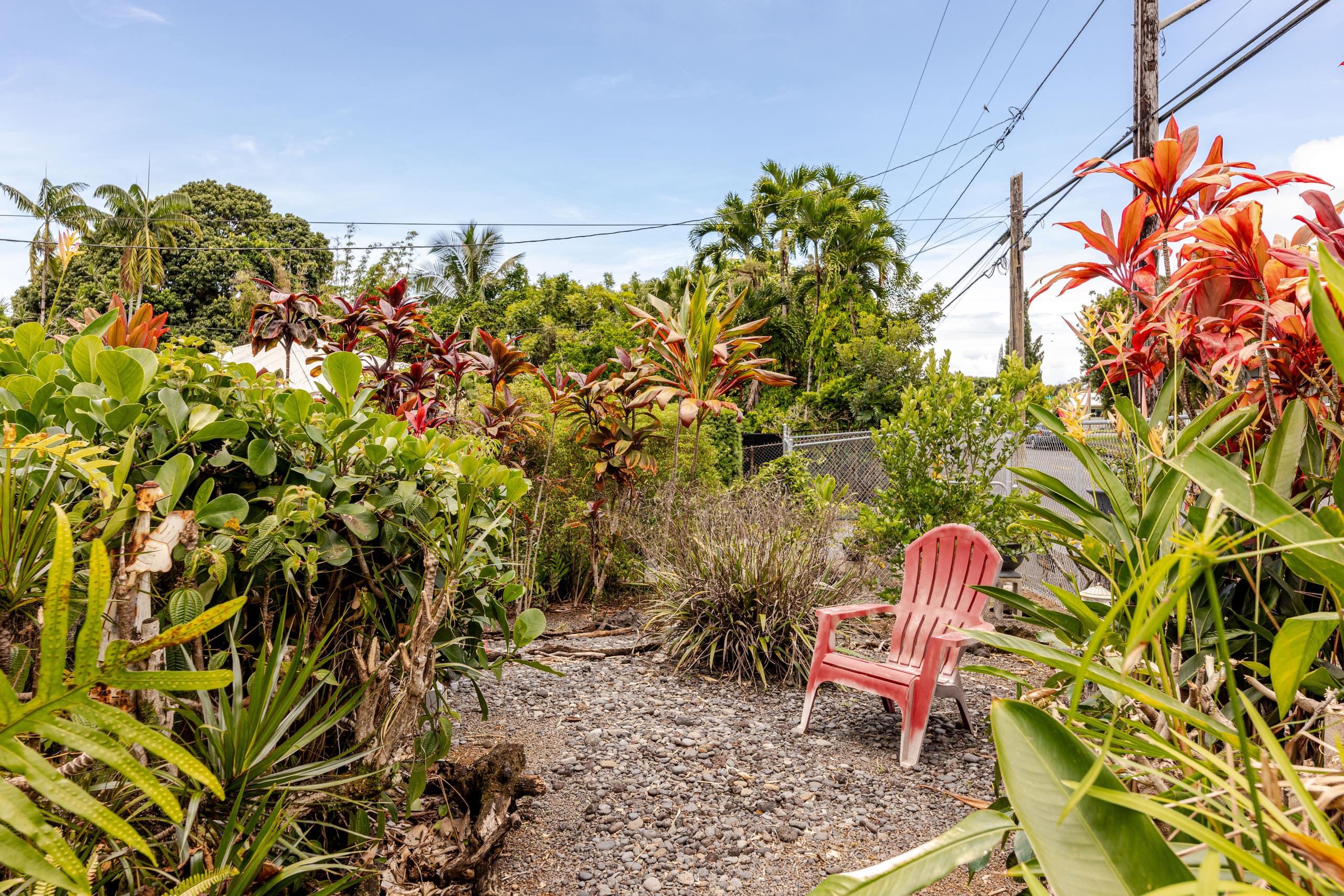 Guesthouse in Hilo · ★4.91 · 1 bedroom · 1 bed · 1.5 baths - Image 26